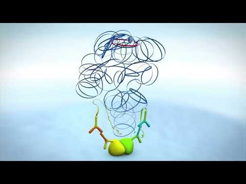 Duolink® Proximity Ligation Assay