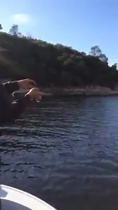 1.3K views · 54 reactions | VLOG #14 Thumping Tailor on 3lb! Pontoon 21 Crackjack getting it done! www.weflickfishing.com | We Flick Fishing | Facebook