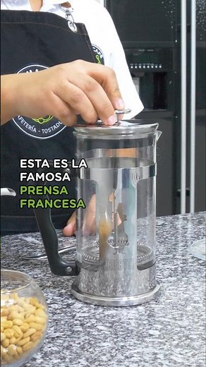How to use the French Press? ☕️ ✨