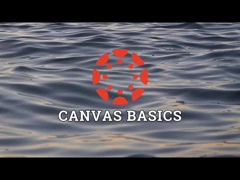 Canvas Basics