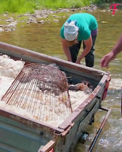 13K views · 29 reactions | The process of washing, dyeing and spinning sheep yarn | Fabiosa Better World | Facebook