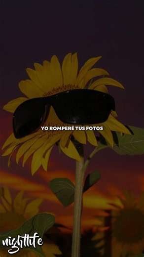 La Mosca Tse Tse - Para no verte más (letra)