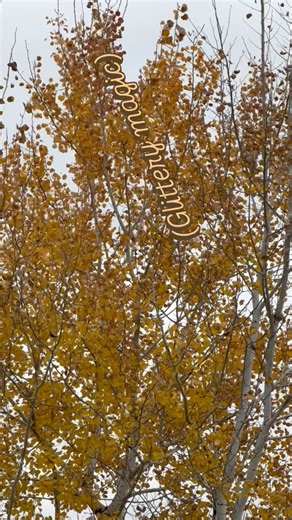 277K views · 17K reactions | Real’ generous use of the word normal here. #trees #plants #nature | Flora and Frost | Facebook