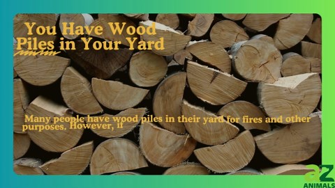 Why Mosquitoes Swarm Your Backyard