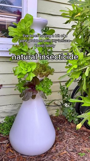 Brennan Kai on TikTok