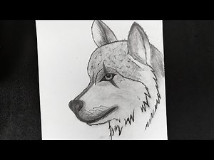How to draw wolf face easy step by step for beginners || Wolf drawing tutorial