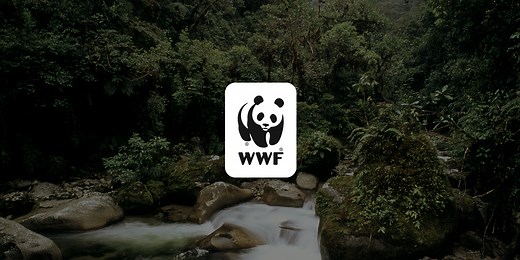 Careers at WWF