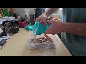 Bait Preparation Salting Squid