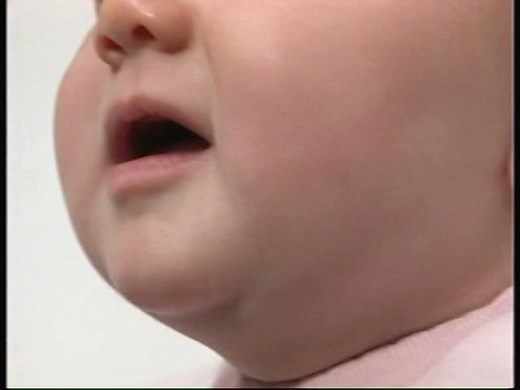 Bee Smart Baby - Baby Bumble Bee - Vocabulary Builder (DVD ISO) Volumes 1 to 5