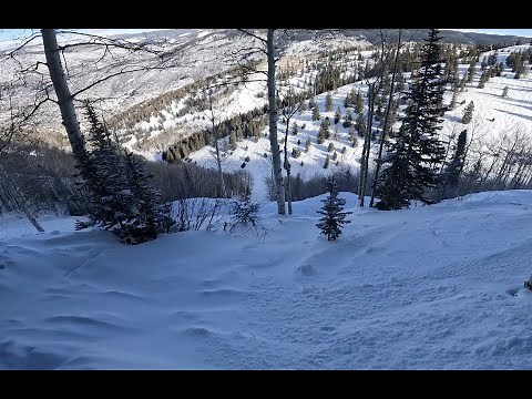 Skiing Aspen Mountain Colorado
