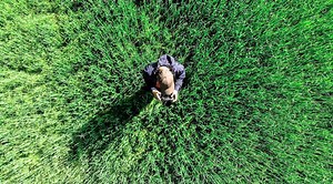 Renewing Your Part 107 License - Pilot Institute