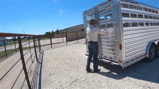 11K views · 187 reactions | Check out the Elite Trailer Manufacturing stock trailer I just got to haul cattle as well as my broodmares and young horses. - Clinton Learn more about Elite Trailers ➡️ https://elitetrailers.com | Downunder Horsemanship | Facebook
