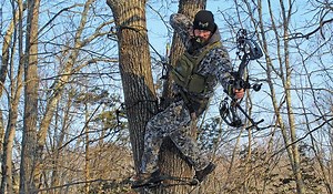 BOWHUNTING's Guide to Tree Saddle Hunting - Bowhunter