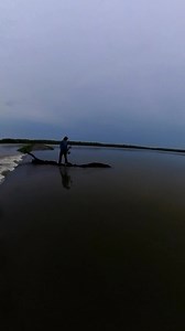 200K views · 426 reactions | Happy Labor Day from ForceFeedem.com !! #forcefeedem #bowfishing #fishing | Force Feed'em | Facebook