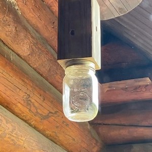 2.1K views · 48 reactions | How to build a carpenter bee trap | Jonah White | Facebook