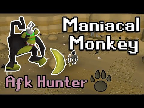[OSRS] Maniacal Monkey Guide, AFK Hunter Training