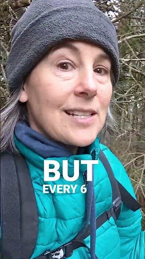 👉🏼Choosing the Best CGM in 2024: A Complete Guide