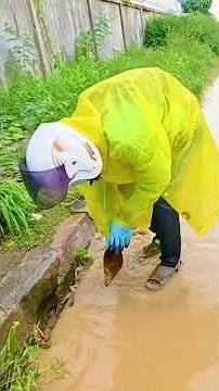 Culvert Drain Overload Solved by Extreme Unclogging!