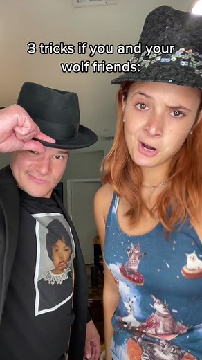 3 Tricks to Try with Your Wolf Friends