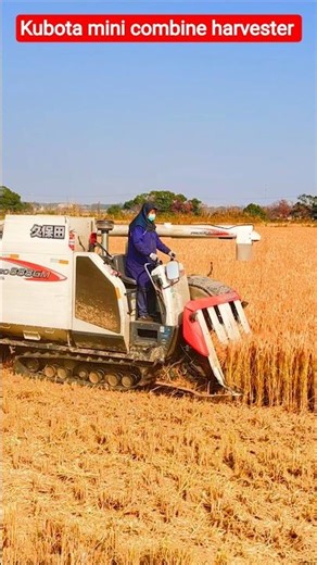 Kubota mini combine harvester 🇮🇳 #shorts #kubota #combineharvester