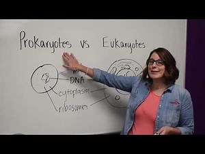 6th Grade Science - Module 6: Cell Types