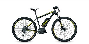 Focus Jarifa 29 Review