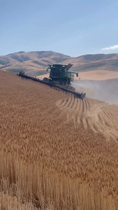 2.4K reactions · 85 shares | Who loves hillside / sidehill combines?落 . . .  : @rockland_valley_ranches . . . #johndeere #agriculture #deere #combine #s680 #hillside #wheat #macdon #hillco #country #farmlife #foryourpgage #foryou | Farming Watch | Facebook