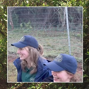 53K views · 152 reactions | Chester Zoo on Reels | Facebook