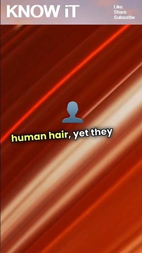 10 Amazing Facts About Optical Fiber | KNOW iT