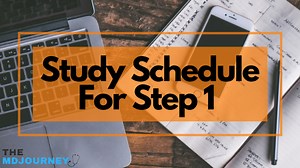 Study Schedule For Step 1 (Actual Examples) - TheMDJourney