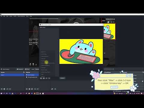 [TUTORIAL] how to install bongo cat into OBS Studio