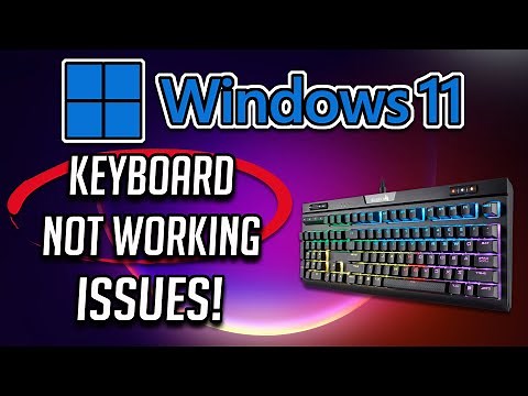 How to Fix Keyboard Not Working Issue in Windows 11 [EASY]