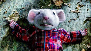 Stuart Little finally finds out the truth about his fake parents and prepares to go back home. | Boxoffice Movie Scenes