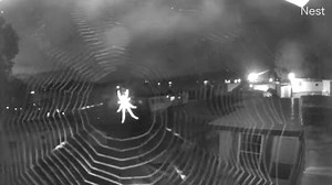 8.5K views · 148 reactions | Check out this time lapse of a spider spinning its web out at Palmer’s Marina at Smith Mountain Lake. : Jamie Carter | WDBJ7 | Facebook