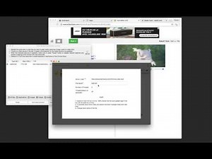 Bulk Media Downloader