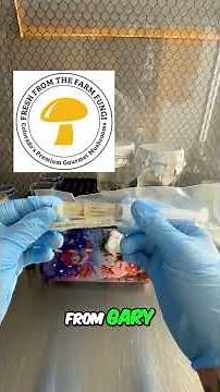 2 Ways To Grow Liquid Mycelium Cultures