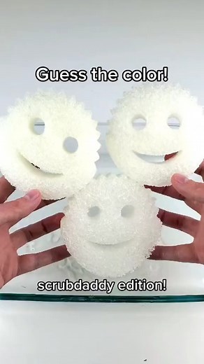 Guess the color with @scrubdaddy 😉 #guessthecolor #challenge | Dalton James