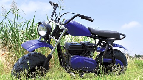 Massimo Minibike MB200S 7.5HP 196cc 4 Stroke, Gas Powered Mini Bike Motorcycle - Black