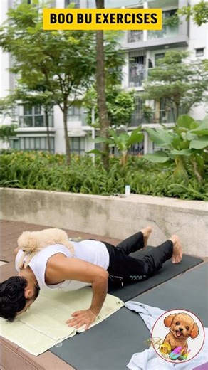 Boo bu Exercises | Dog Lovers | German Poodle | Love Poodle Dog | I love pet | Boo bu Pawan #poodle