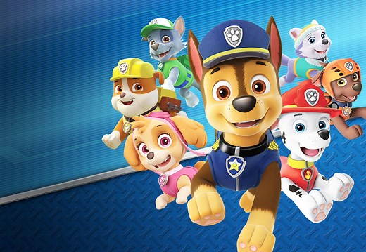PAW Patrol: On a Roll! - Kids Videogame Outright Games