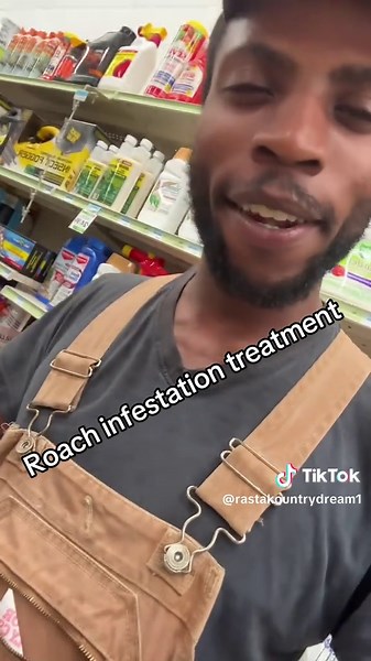 Effective Solutions for Roach and Ant Infestation