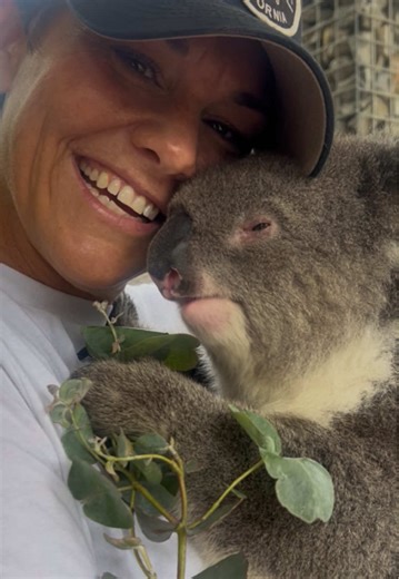 Exploring Adelaide's Fascinating Koalas