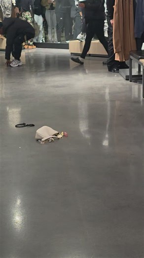 Tysons Corner Mall Altercation Overview