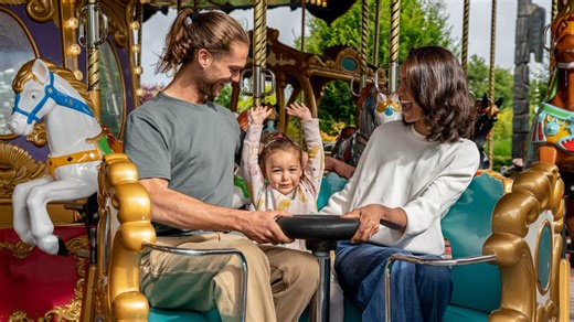 Popular Irish theme park announces 'limited-time flash ticket sale' with €70 off