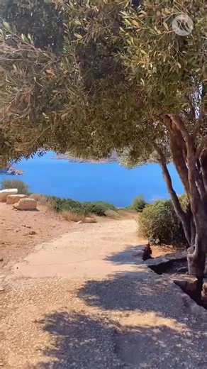 Aegean blues, ancient ruins, and timeless views… Cape Sounion 🏛️ Let the Greece summer holiday content begin! #CapeSounion #TempleOfPoseidon #Athens #AncientRuins #GreekHistory #AncientHistory | Greek City Times