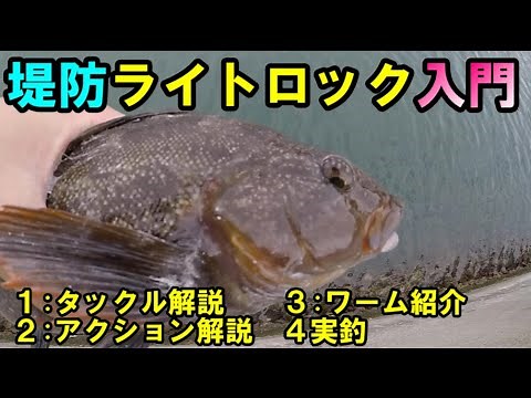 【解説】ライトロックがよくわからない方へ！ライトロックの基礎情報解説動画【アイナメ/ソイ】