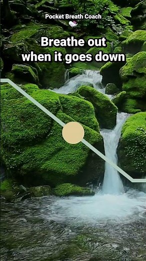 4-1-8-1 Parasympathetic Breathing Exercise for Deep Stress Relief: Activate Your Vagus Nerve & Relax