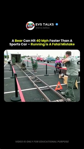 A Bear Can Run 40 MPH 😳🐻 | Faster Than a Sports Car