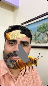 Honey Bee Puzzle #honeybee #puzzle | Sandeep Kumar