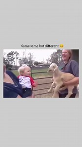 158K views · 4.6K reactions | Screaming contest  | We Are Nature | Facebook